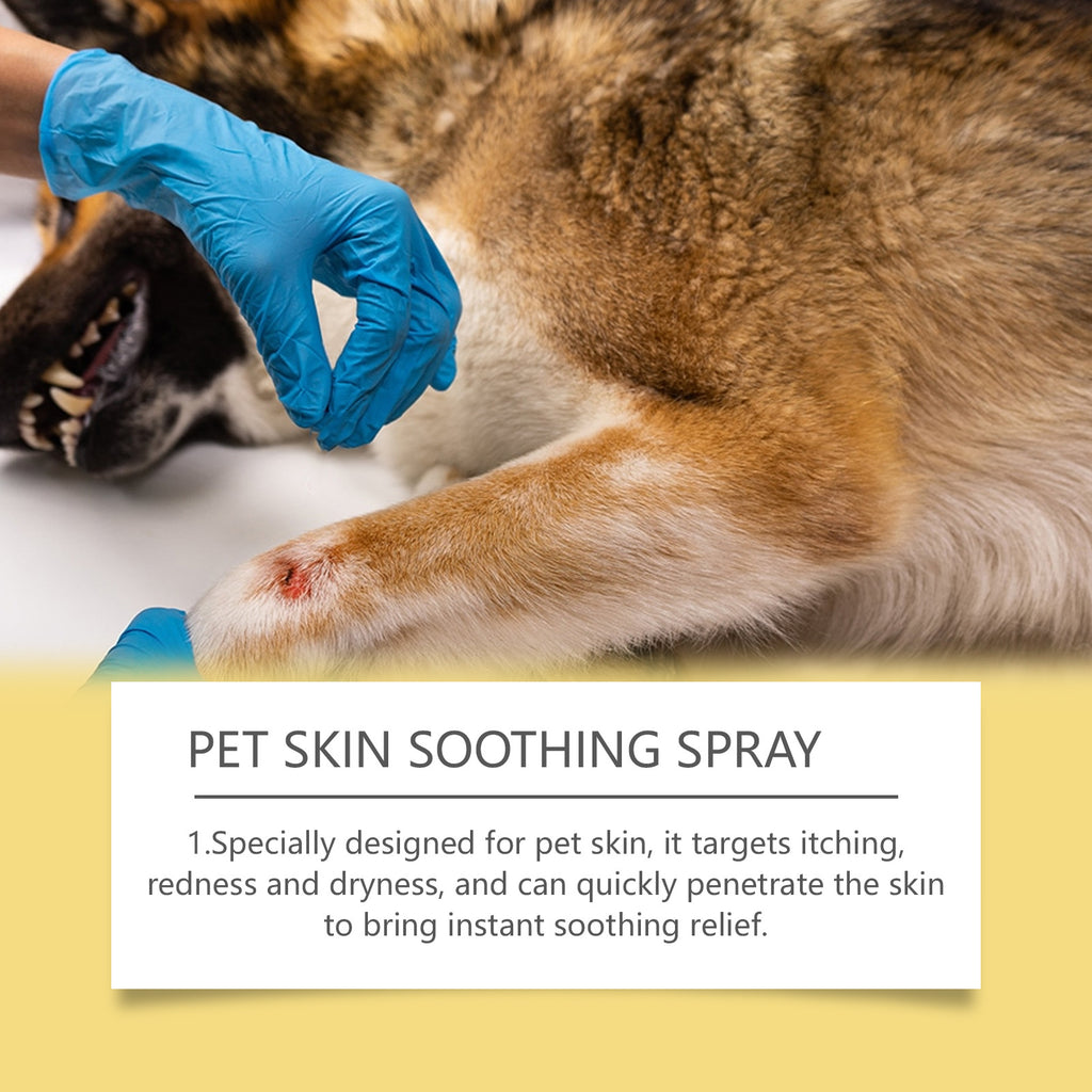 Yegbong Pet Skin Care Spray Mild Ingredients Relieve Pet Skin Discomfort External Care Spray